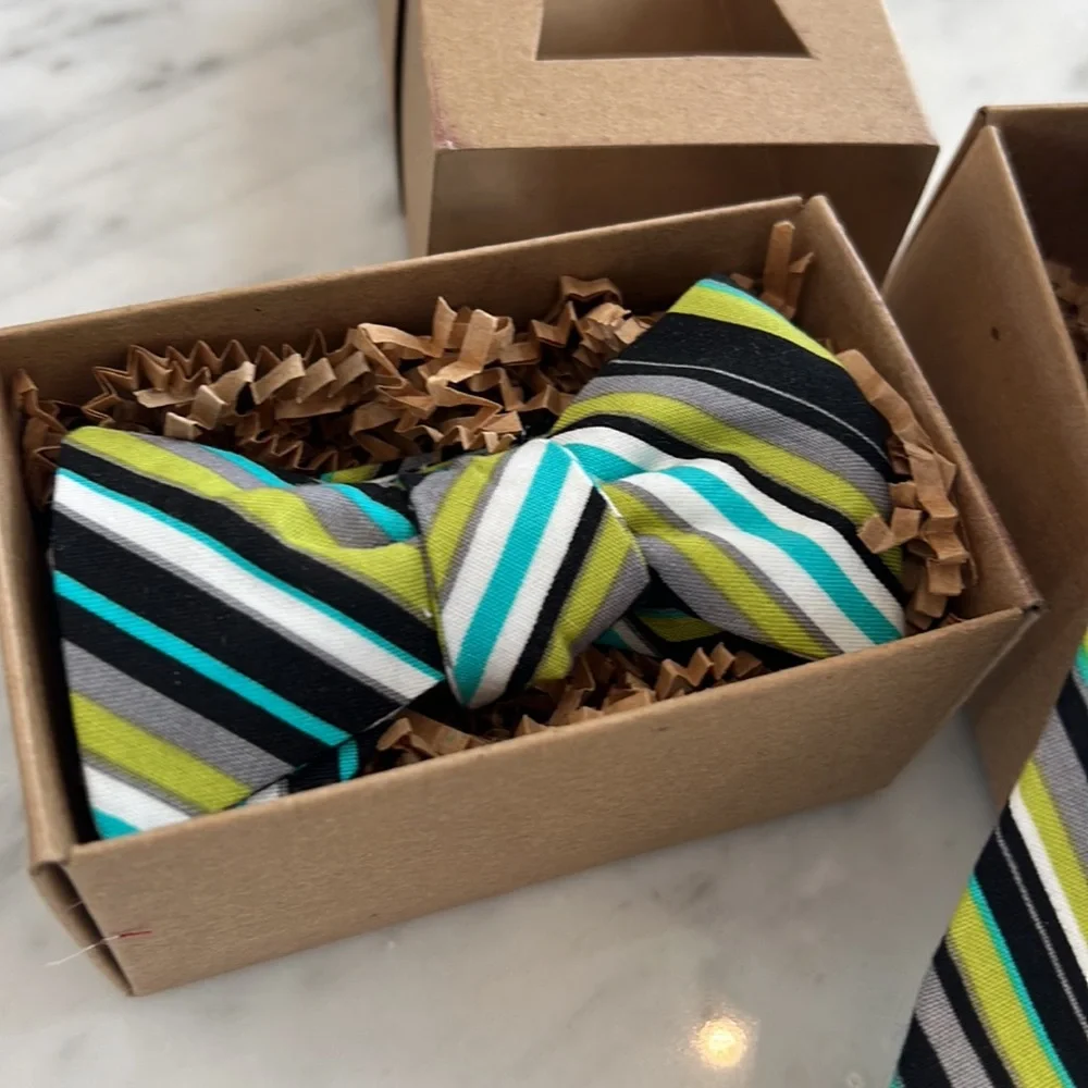 New Boys Tadpole and Lily Bow Tie or Long Tie and Black Teal Neon and White